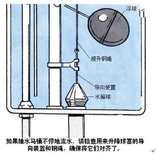 金旗舰